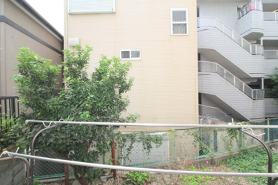 【展望】 | イワタバコ苑