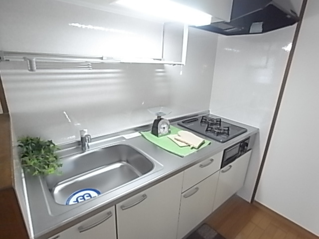 グランモール秋山のキッチン|グランモール秋山（1LDK）　キッチン