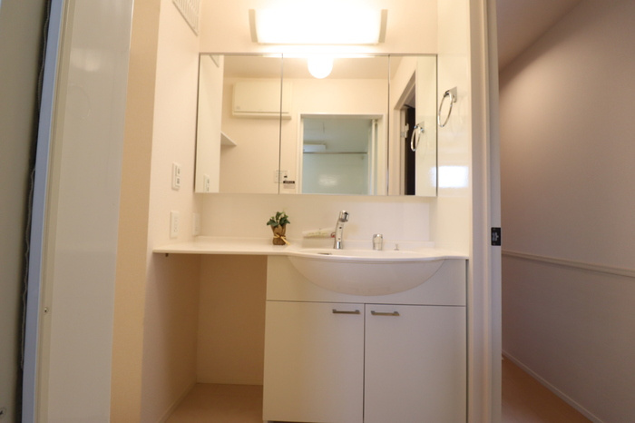 エクセルハイムヤマセイの独立洗面台