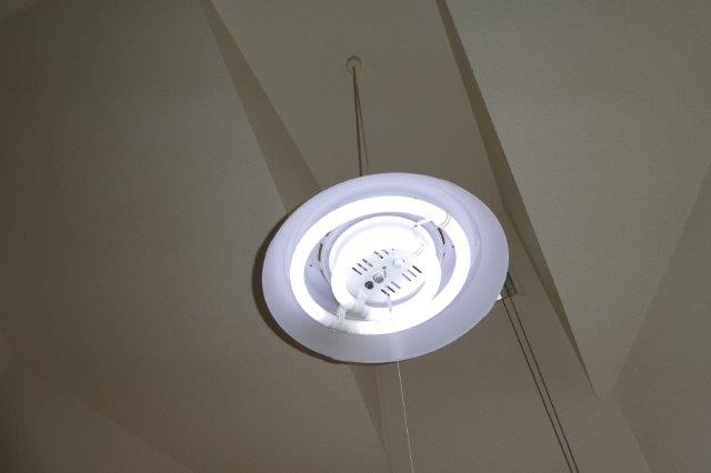 Lindの設備|照明