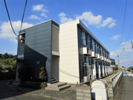 アムールの画像