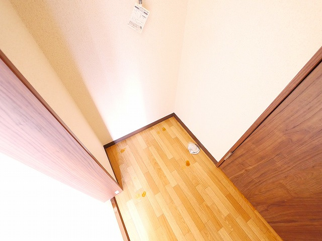南紀寺ハイツの設備|室内洗濯機置場です。