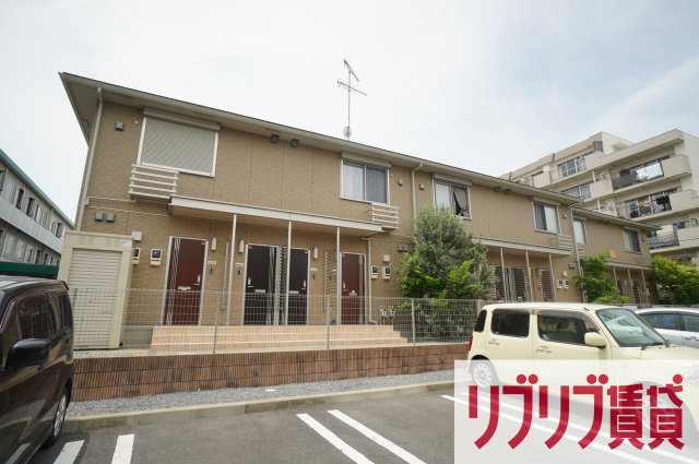 グレイスコート