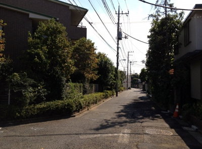 【周辺】 | ベル富士見丘 | 前面道路