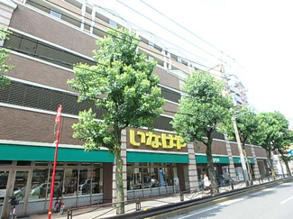 【周辺】 | いなげや宮前平店