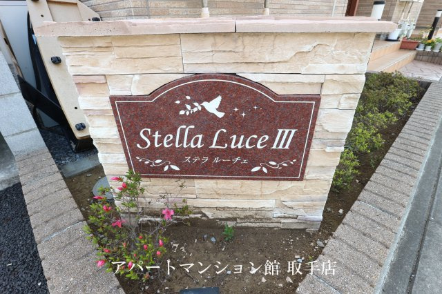 ステラルーチェⅢのエントランス