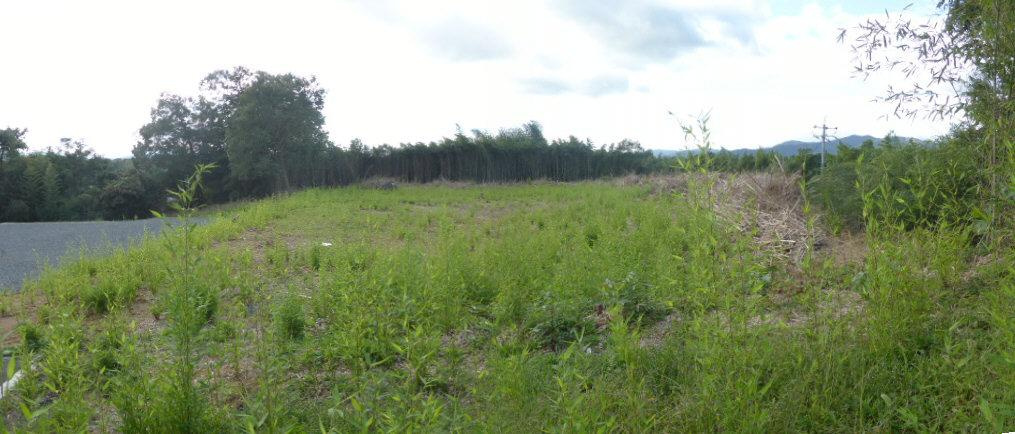 津山市野介代　事業用地3037.87坪の外観