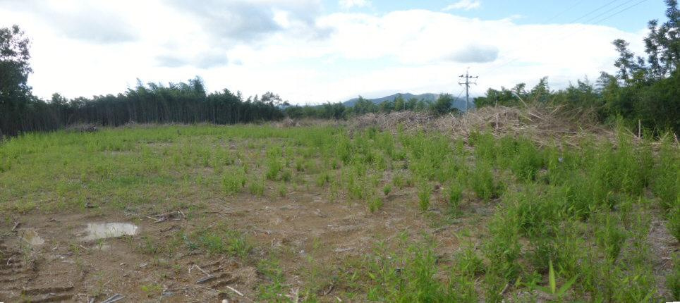 津山市野介代　事業用地3037.87坪の外観