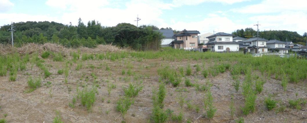 津山市野介代　事業用地3037.87坪の外観