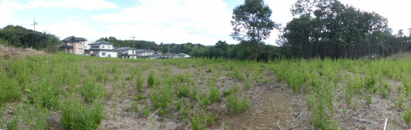 津山市野介代　事業用地3037.87坪の外観
