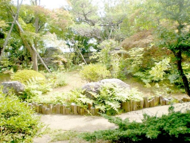 【庭】 | 三島市長伏 高級中古住宅 EH00125 | 三島市長伏　庭