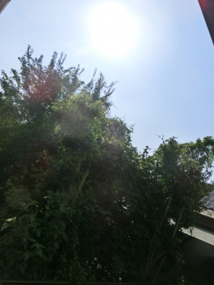 【展望】 | デュオハウス | デュオハウス　眺望