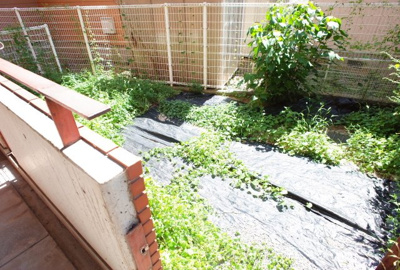 【庭】 | ロイヤルメゾン富士 | お庭です