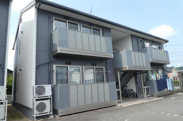 エバーグリーンオークＢ