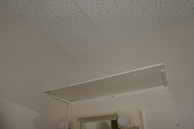 エバーグリーンオークＢの洗面所|洗濯機上棚