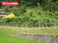 伊豆市梅木 売土地 ET00006の画像