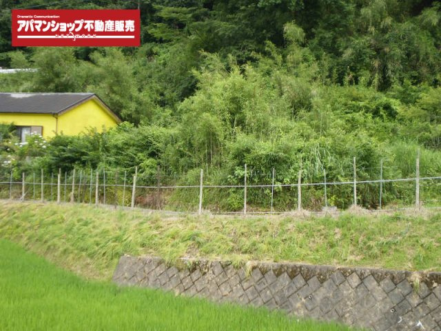 【外観】 | 伊豆市梅木 売土地 ET00006 | 伊豆市梅木　外観