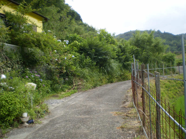 【前面道路含む現地写真】 | 伊豆市梅木 売土地 ET00006 | 伊豆市梅木　前面道路