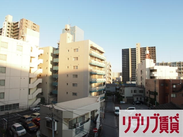リブリ・エレメントの展望