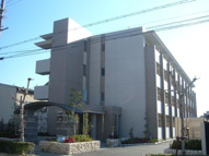 ハニーエストゥディオの画像