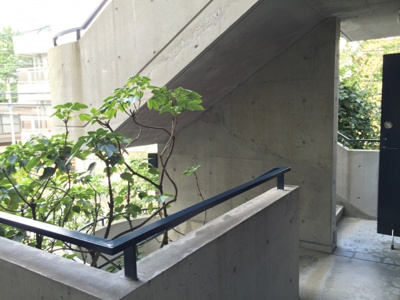 【その他共用部分】 | アネックス夙川