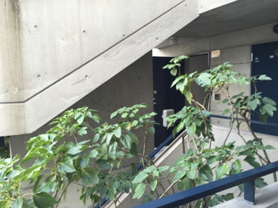 【その他共用部分】 | アネックス夙川