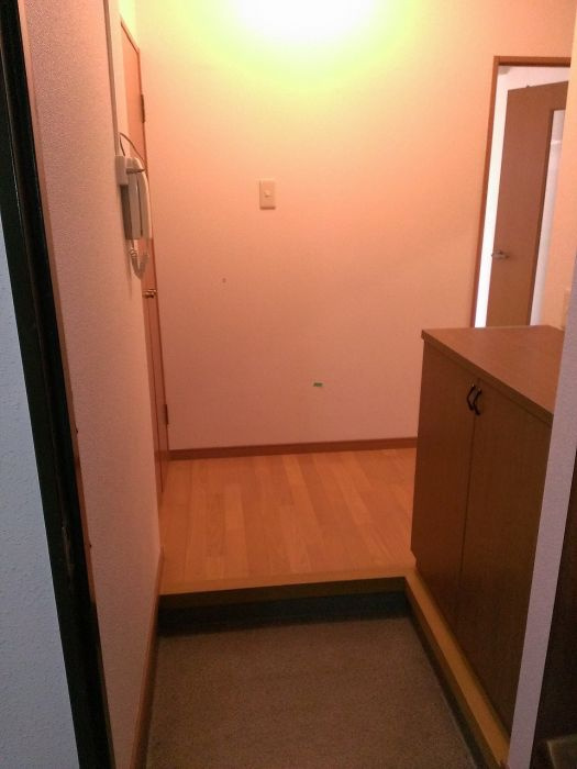 大濠クレセントマンションの玄関|大濠クレセントマンション（2LDK）　玄関
