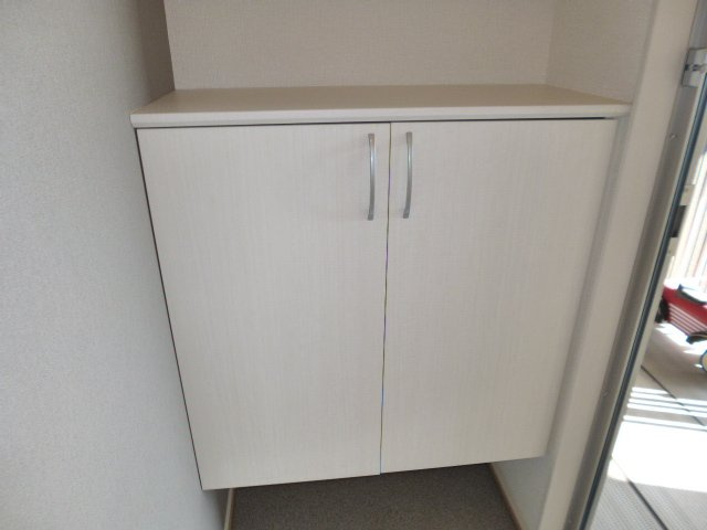 プロムナードの内装|シューズボックス（下）