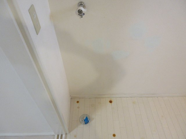 プチメゾン日吉のその他
