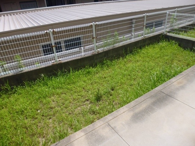 メゾン有瀬の庭
