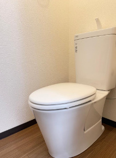 ハイツ野々上のトイレ