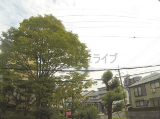 【展望】