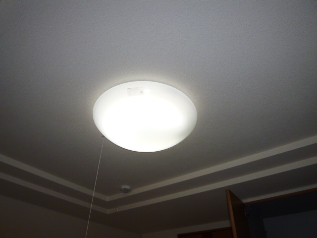 グリーンヒルズⅡの設備|照明器具