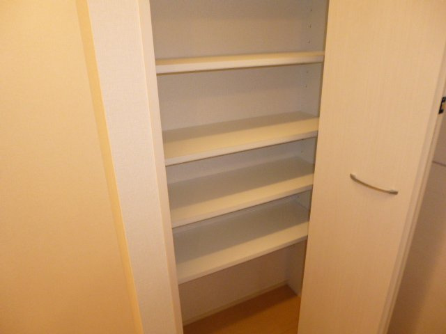 フォーチューン真壁Cの収納|パントリー