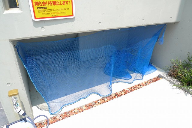 モードスタイルのその他