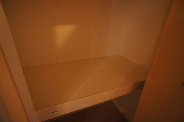 コージーレジデンスⅠの収納