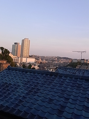 【展望】 | グリーンピア上大岡