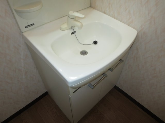 シャトーデサンティールの独立洗面台