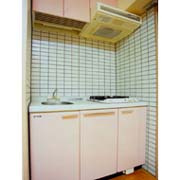 グラヴィス平尾のキッチン|グラヴィス平尾（1LDK）　キッチン