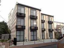 シナーラの画像