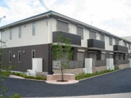 シュシュしらかしの画像