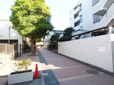 【エントランス】 | 「千歳船橋」駅徒歩5分！最上階南向き！【ルピナス桜丘】