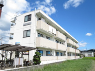 パインコートの画像