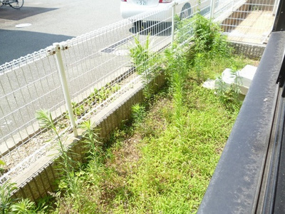 【庭】 | シャルム弐番館