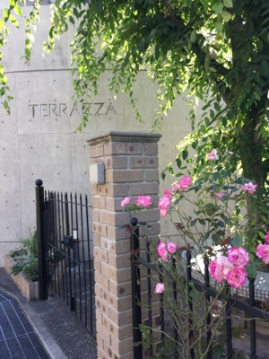 【エントランス】 | テラッザ芦屋川