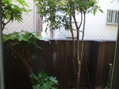 【展望】 | Ｇハウス