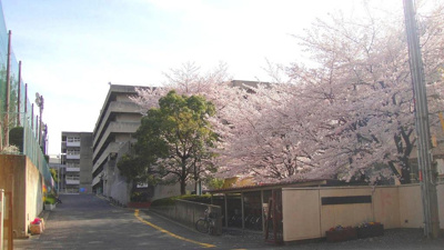 【周辺】 | ハイム大商Ⅱ | 佐井寺中学校区★