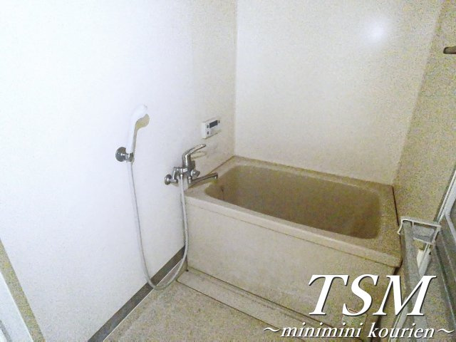 ＰＬＵＭ　ＣＩＴＹ　ＲＥＳＩＤＥＮＣＥ　ＮＥＹＡＧＡＷＡの浴室