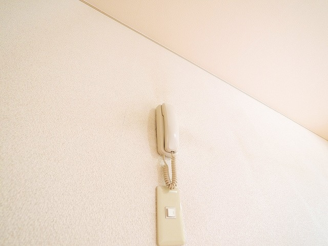 セジュールならやま　Ⅱのセキュリティ