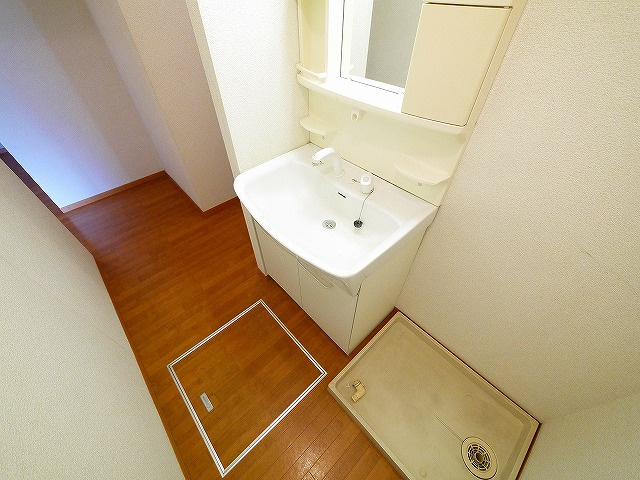 セジュールならやま　Ⅱの洗面所